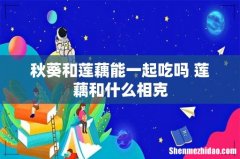 秋葵和莲藕能一起吃吗 莲藕和什么相克