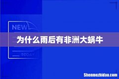 为什么雨后有非洲大蜗牛