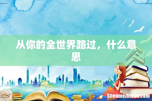 从你的全世界路过,什么意思