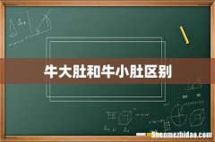 牛大肚和牛小肚区别