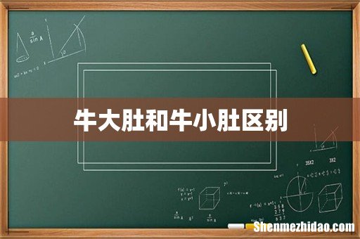 牛大肚和牛小肚区别