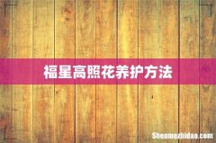 福星高照花养护方法