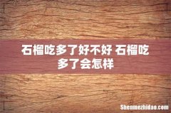 石榴吃多了好不好 石榴吃多了会怎样
