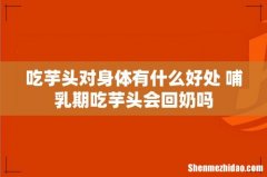 吃芋头对身体有什么好处 哺乳期吃芋头会回奶吗