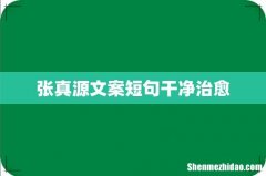 张真源文案短句干净治愈