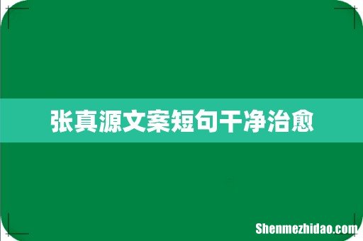张真源文案短句干净治愈