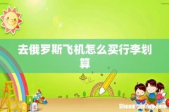 去俄罗斯飞机怎么买行李划算