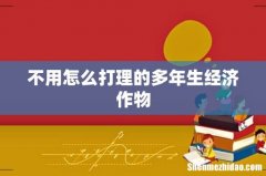 不用怎么打理的多年生经济作物