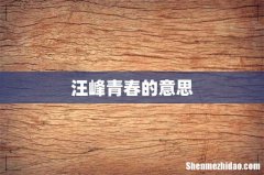 汪峰青春的意思