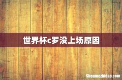 世界杯c罗没上场原因