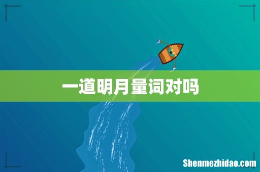 一道明月量词对吗