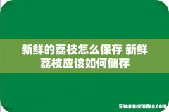 新鲜的荔枝怎么保存 新鲜荔枝应该如何储存