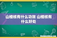 山楂核有什么功效 山楂核有什么好处