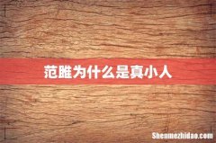 范雎为什么是真小人
