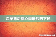 温柔背后廖心雨最后的下场