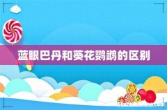 蓝眼巴丹和葵花鹦鹉的区别