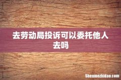 去劳动局投诉可以委托他人去吗