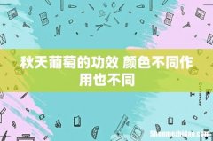 秋天葡萄的功效 颜色不同作用也不同