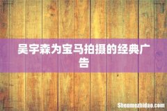 吴宇森为宝马拍摄的经典广告