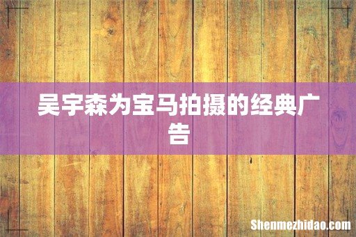 吴宇森为宝马拍摄的经典广告