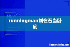 runningman刘在石当卧底