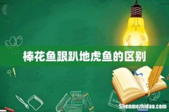 棒花鱼跟趴地虎鱼的区别