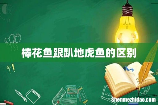 棒花鱼跟趴地虎鱼的区别