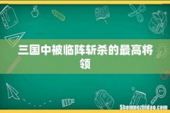 三国中被临阵斩杀的最高将领