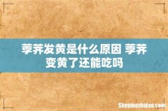 荸荠发黄是什么原因 荸荠变黄了还能吃吗