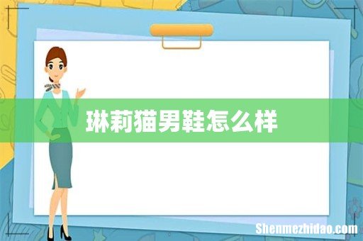 琳莉猫男鞋怎么样