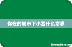 你在的城市下小雪什么意思