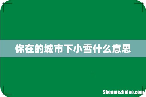 你在的城市下小雪什么意思