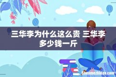 三华李为什么这么贵 三华李多少钱一斤