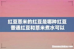 红豆薏米的红豆是哪种红豆 普通红豆和薏米煮水可以祛湿吗