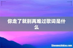 你走了就别再难过歌词是什么