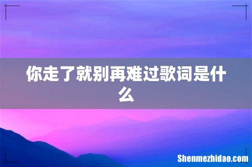 你走了就别再难过歌词是什么