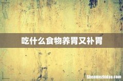 吃什么食物养胃又补胃