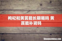 枸杞和黄芪能长期喝吗 黄芪能补肾吗