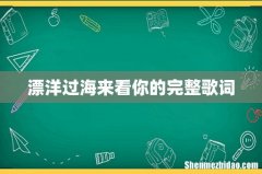漂洋过海来看你的完整歌词