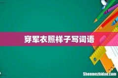 穿军衣照样子写词语