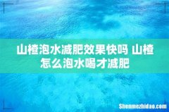 山楂泡水减肥效果快吗 山楂怎么泡水喝才减肥