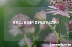 花呗怎么套出来不要手续费手续费多少