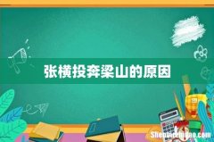 张横投奔梁山的原因