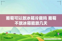 葡萄可以放冰箱冷藏吗 葡萄不放冰箱能放几天