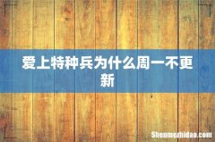 爱上特种兵为什么周一不更新