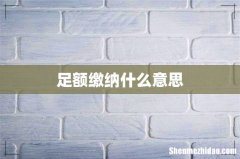 足额缴纳什么意思