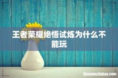 王者荣耀绝悟试炼为什么不能玩