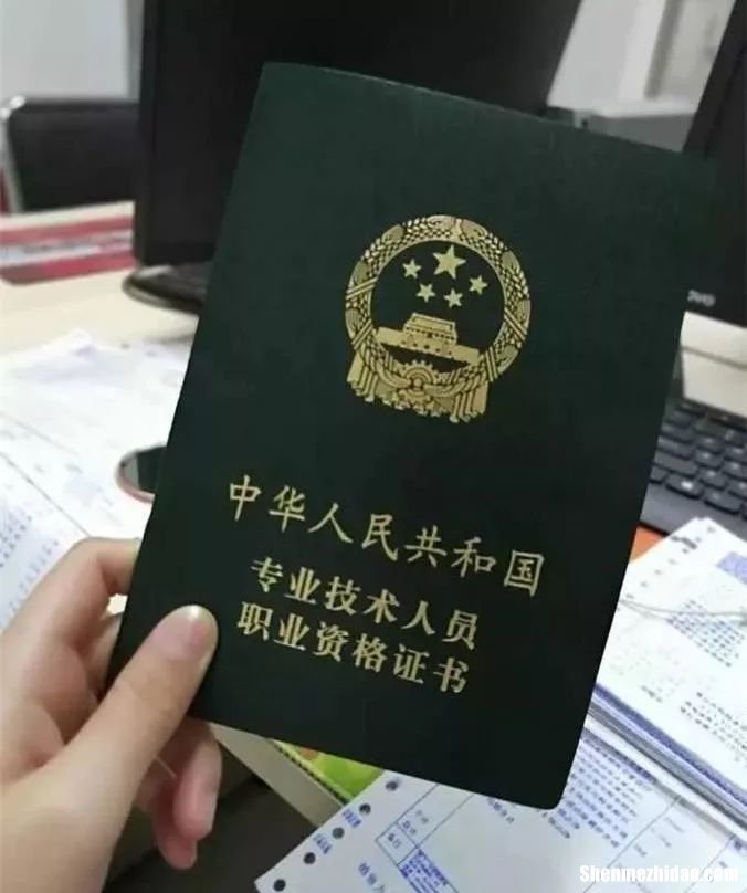 为什么会计证查询不到信息 为什么会计证查询不到信息呢