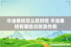 牛油果核怎么吃好吃 牛油果核有哪些功效及作用