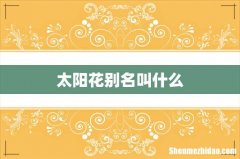 太阳花别名叫什么